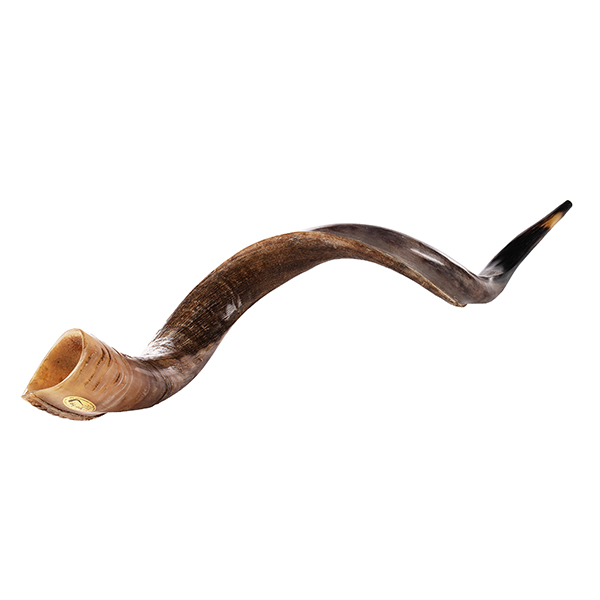 Types of Shofars Kol Shofar Factory