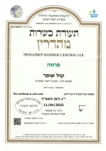 Kosher certificate for shofar